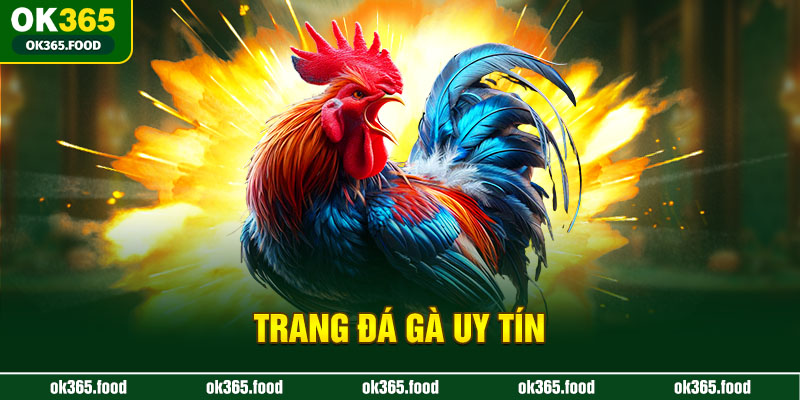 Trang đá gà uy tín